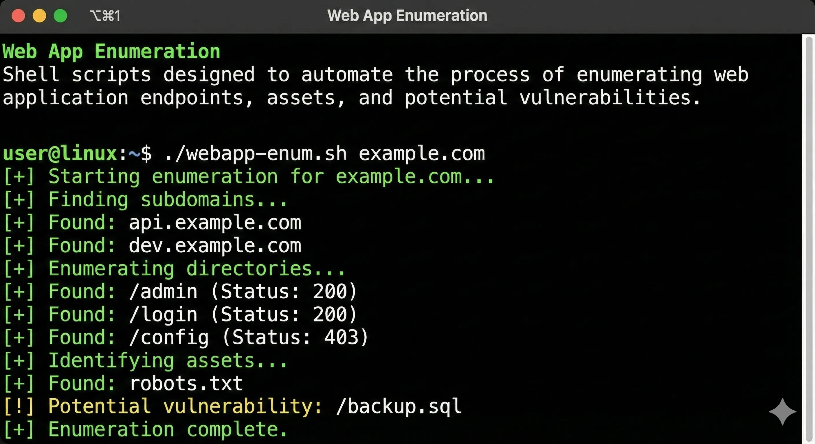 Web App Enumeration preview